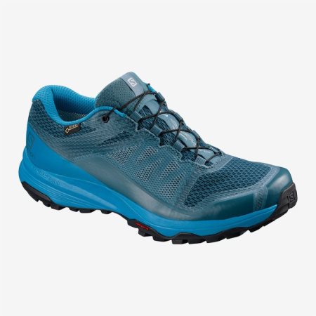 Scarpe Trail Running Salomon XA DISCOVERY GTX W Donna Blu IT 1-K57